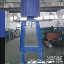 Pneumatic Actuator Slurry Gate Valve